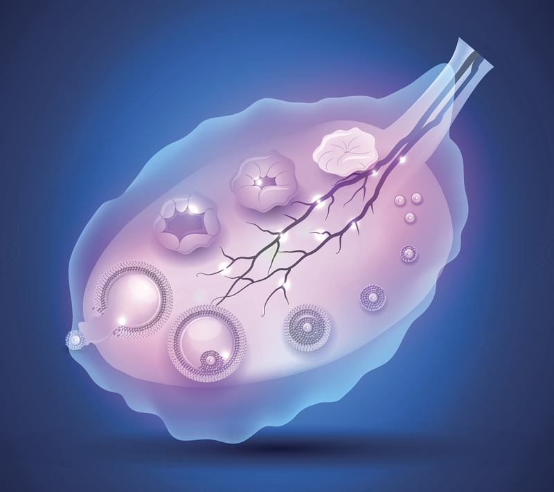 兰州试管三代医院哪家强_兰州试管成功率高吗！